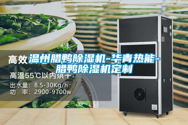 温州腊鸭草莓视频APP在线观看-华青热能-腊鸭草莓视频APP在线观看定制