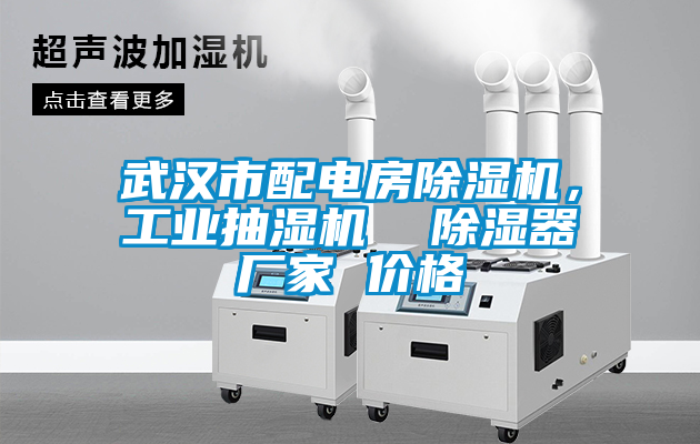 武汉市配电房草莓视频APP在线观看，工业抽湿机  除湿器厂家 价格
