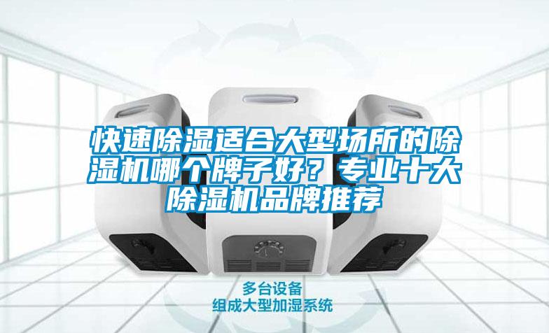 快速除湿适合大型场所的草莓视频APP在线观看哪个牌子好？专业十大草莓视频APP在线观看品牌推荐