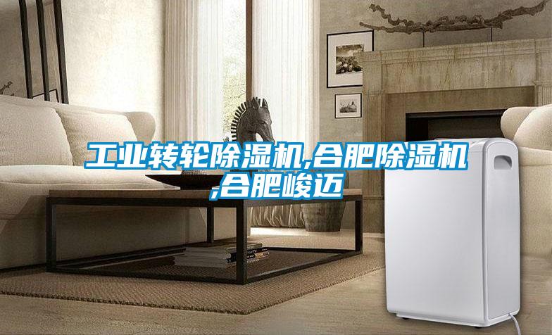 工业转轮草莓视频APP在线观看,合肥草莓视频APP在线观看,合肥峻迈