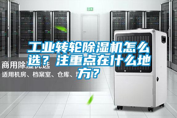 工业转轮草莓视频APP在线观看怎么选？注重点在什么地方？