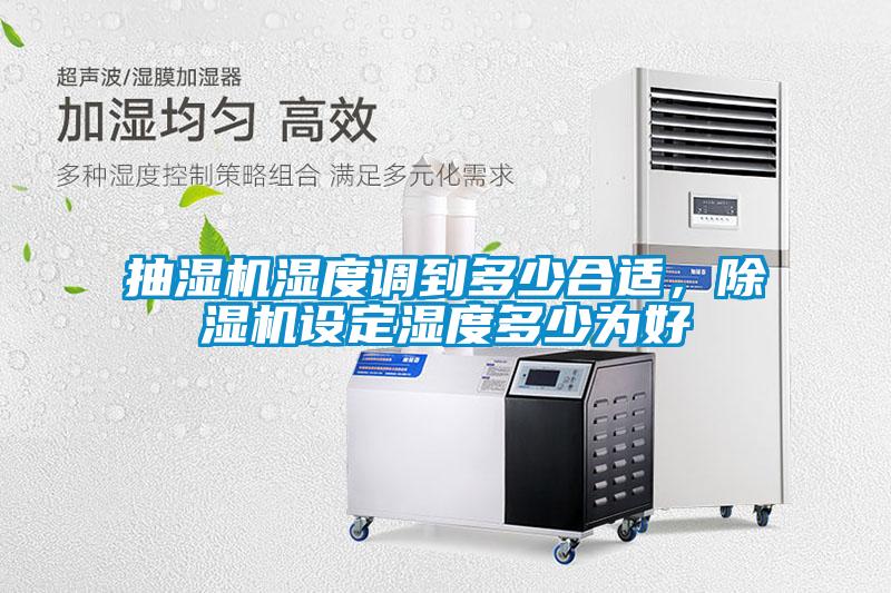 抽湿机湿度调到多少合适，草莓视频APP在线观看设定湿度多少为好