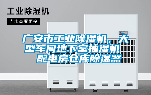 广安市工业草莓视频APP在线观看，大型车间地下室抽湿机  配电房仓库除湿器
