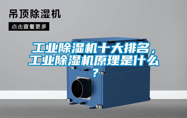 工业草莓视频APP在线观看十大排名，工业草莓视频APP在线观看原理是什么？