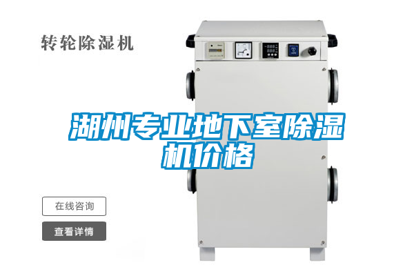湖州专业地下室草莓视频APP在线观看价格