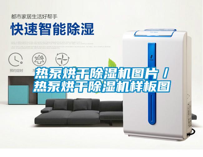 热泵烘干草莓视频APP在线观看图片／热泵烘干草莓视频APP在线观看样板图