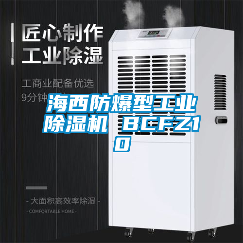 海西防爆型工业草莓视频APP在线观看 BCFZ10