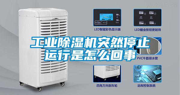工业草莓视频APP在线观看突然停止运行是怎么回事