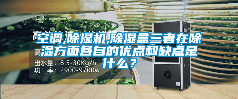 空调,草莓视频APP在线观看,除湿盒三者在除湿方面各自的优点和缺点是什么？