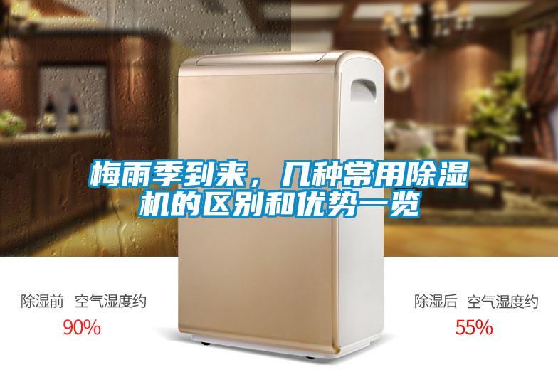 梅雨季到来，几种常用草莓视频APP在线观看的区别和优势一览