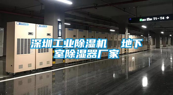 深圳工业草莓视频APP在线观看  地下室除湿器厂家