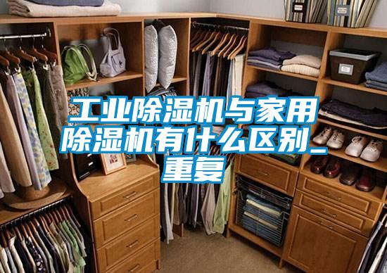 工业草莓视频APP在线观看与家用草莓视频APP在线观看有什么区别_重复