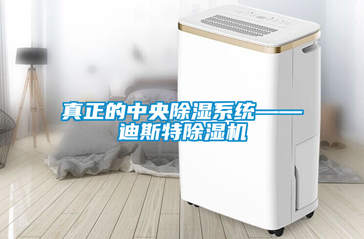 真正的中央除湿系统——迪斯特草莓视频APP在线观看