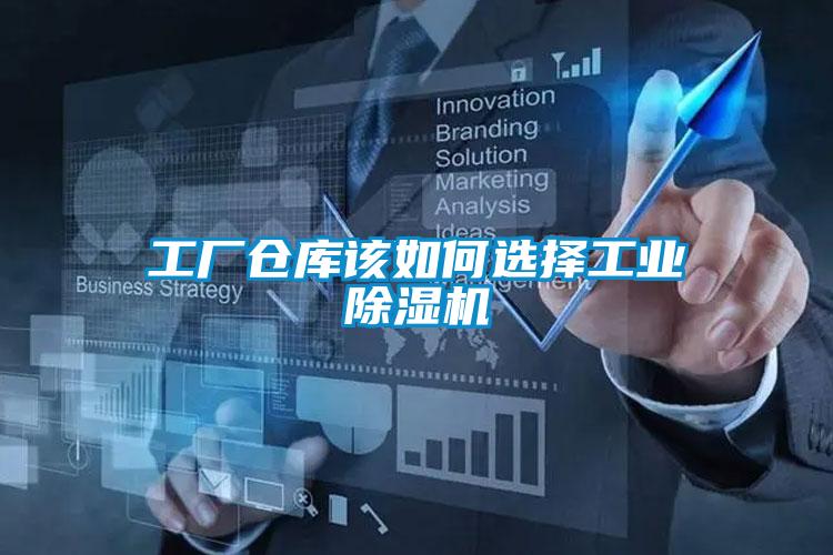 工厂仓库该如何选择工业草莓视频APP在线观看