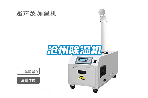 沧州草莓视频APP在线观看