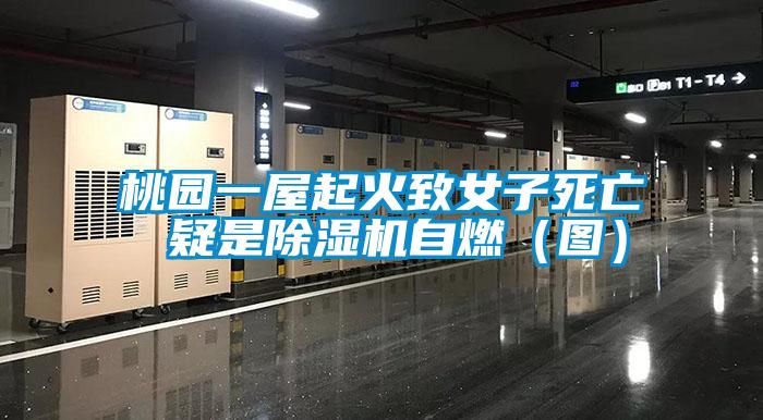 桃园一屋起火致女子死亡 疑是草莓视频APP在线观看自燃（图）