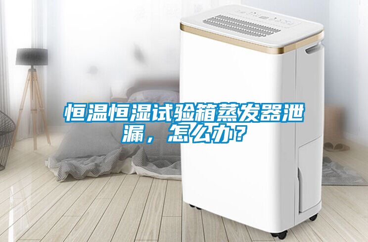 恒温恒湿试验箱蒸发器泄漏，怎么办？