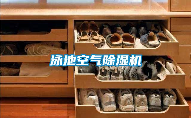 泳池空气草莓视频APP在线观看