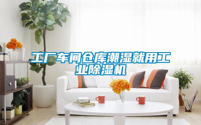 工厂车间仓库潮湿就用工业草莓视频APP在线观看