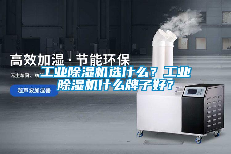 工业草莓视频APP在线观看选什么？工业草莓视频APP在线观看什么牌子好？