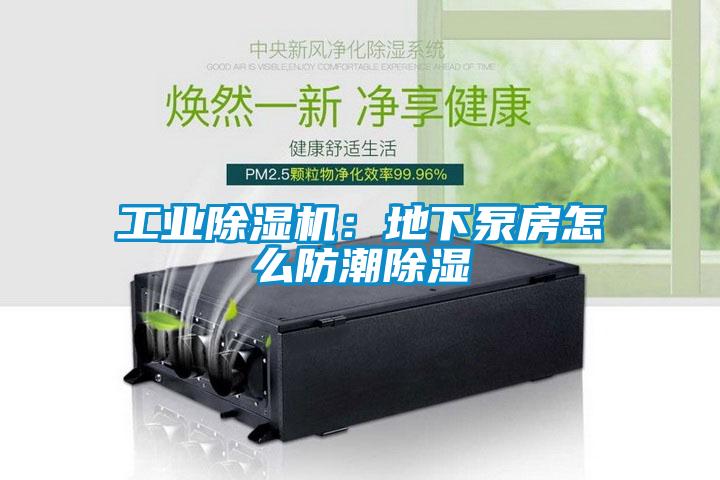 工业草莓视频APP在线观看：地下泵房怎么防潮除湿