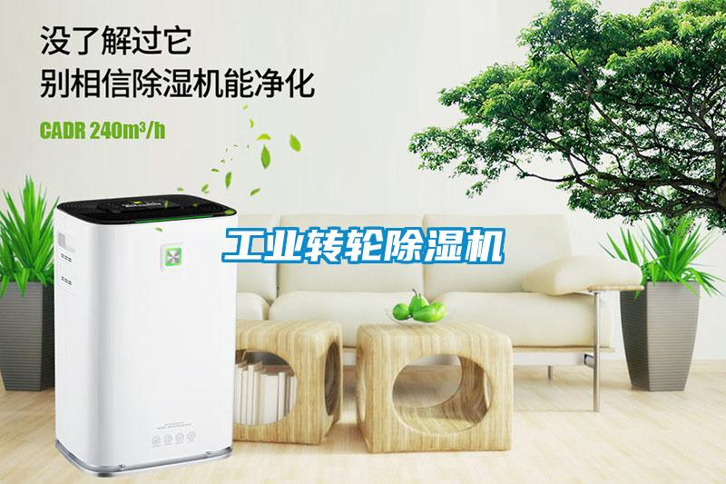 工业转轮草莓视频APP在线观看