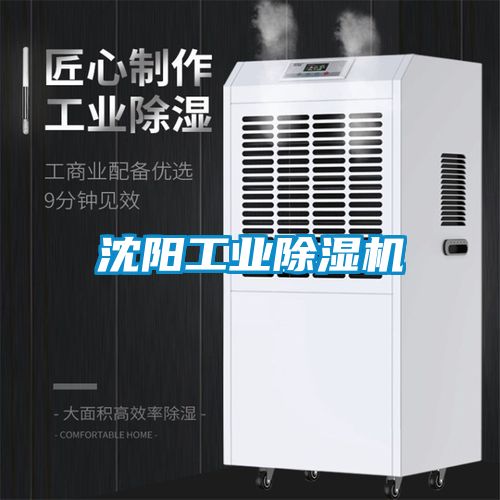 沈阳工业草莓视频APP在线观看