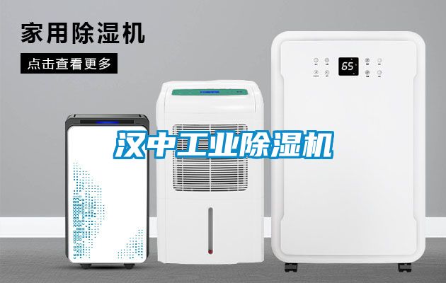 汉中工业草莓视频APP在线观看