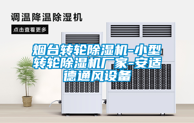 烟台转轮草莓视频APP在线观看-小型转轮草莓视频APP在线观看厂家-安适德通风设备