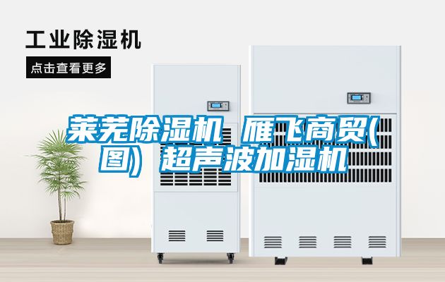 莱芜草莓视频APP在线观看 雁飞商贸(图) 超声波加湿机