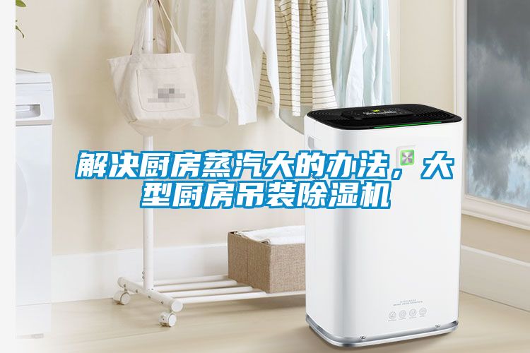 解决厨房蒸汽大的办法，大型厨房吊装草莓视频APP在线观看