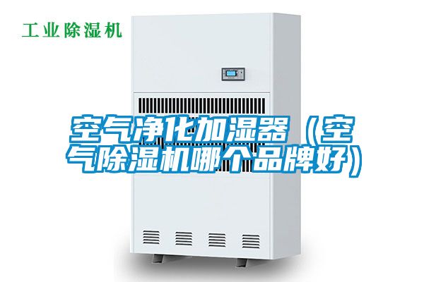 空气净化加湿器（空气草莓视频APP在线观看哪个品牌好）