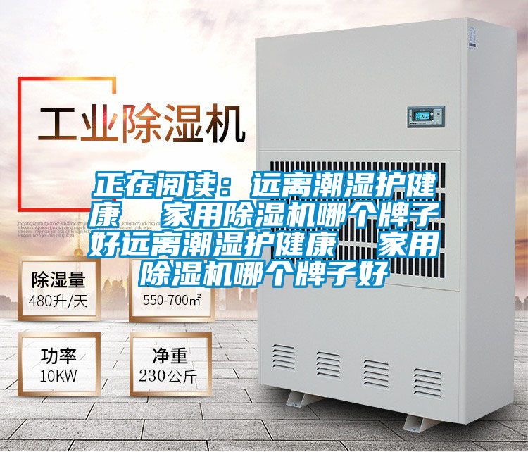正在阅读：远离潮湿护健康  家用草莓视频APP在线观看哪个牌子好远离潮湿护健康  家用草莓视频APP在线观看哪个牌子好