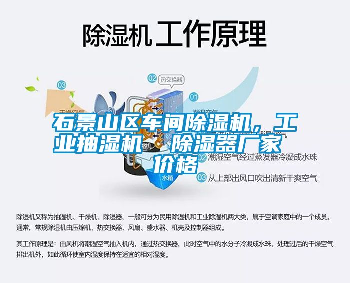 石景山区车间草莓视频APP在线观看，工业抽湿机  除湿器厂家 价格