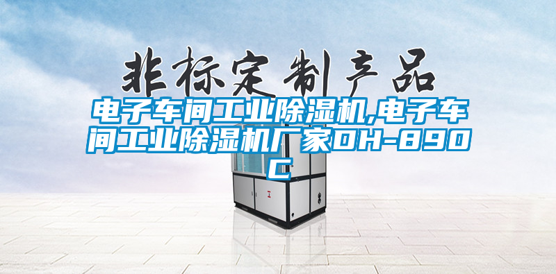 电子车间工业草莓视频APP在线观看,电子车间工业草莓视频APP在线观看厂家DH-890C