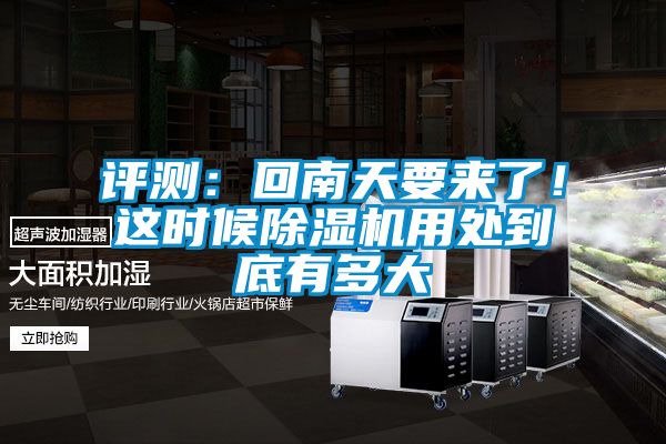 评测：回南天要来了！这时候草莓视频APP在线观看用处到底有多大