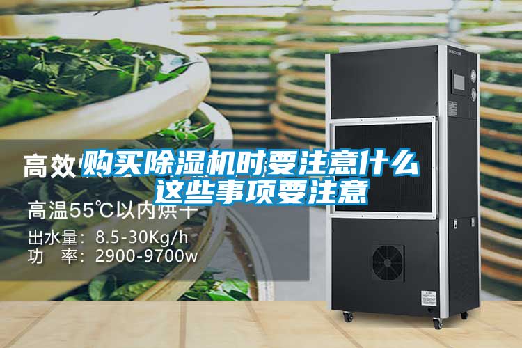 购买草莓视频APP在线观看时要注意什么 这些事项要注意