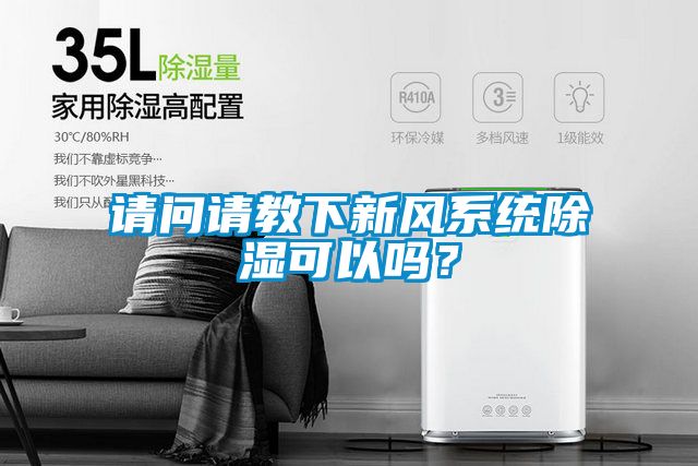 请问请教下新风系统除湿可以吗？