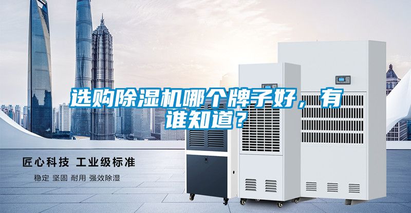 选购草莓视频APP在线观看哪个牌子好，有谁知道？