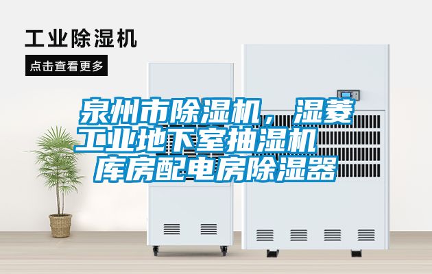 泉州市草莓视频APP在线观看，湿菱工业地下室抽湿机  库房配电房除湿器