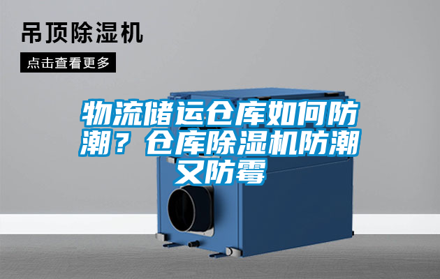 物流储运仓库如何防潮？仓库草莓视频APP在线观看防潮又防霉
