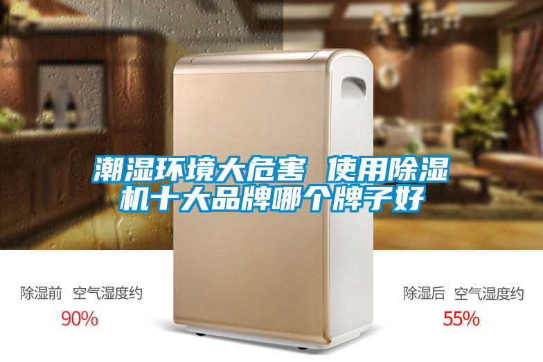 潮湿环境大危害 使用草莓视频APP在线观看十大品牌哪个牌子好
