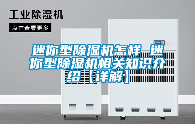 迷你型草莓视频APP在线观看怎样 迷你型草莓视频APP在线观看相关知识介绍【详解】