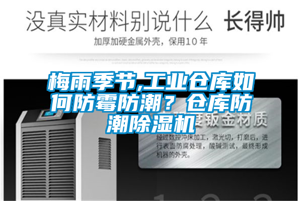 梅雨季节,工业仓库如何防霉防潮？仓库防潮草莓视频APP在线观看