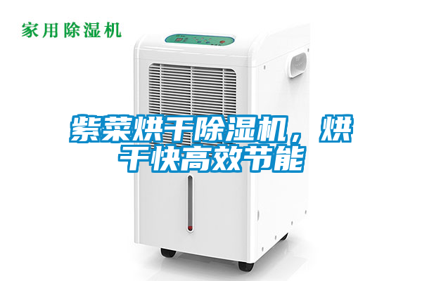 紫菜烘干草莓视频APP在线观看，烘干快高效节能