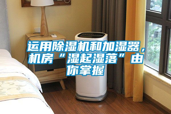 运用草莓视频APP在线观看和加湿器，机房“湿起湿落”由你掌握