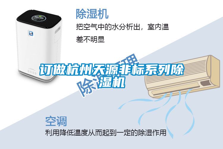 订做杭州天源非标系列草莓视频APP在线观看
