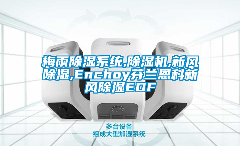 梅雨除湿系统,草莓视频APP在线观看,新风除湿,Enchoy芬兰恩科新风除湿EDF