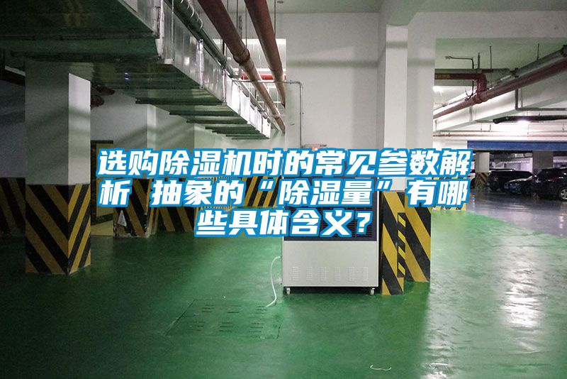 选购草莓视频APP在线观看时的常见参数解析 抽象的“除湿量”有哪些具体含义？