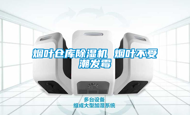 烟叶仓库草莓视频APP在线观看 烟叶不受潮发霉